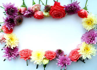 a range of colours, selective focus, rose, selective focus, copy space for text.