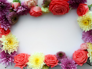 a range of colours, selective focus, rose, selective focus, copy space for text.