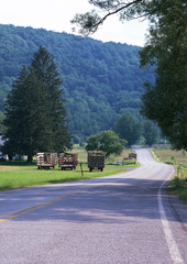 Fototapeta na wymiar Road