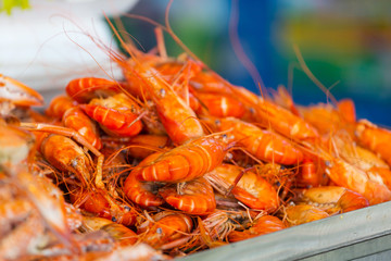 Shrimps
