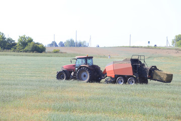 Obraz premium harvest