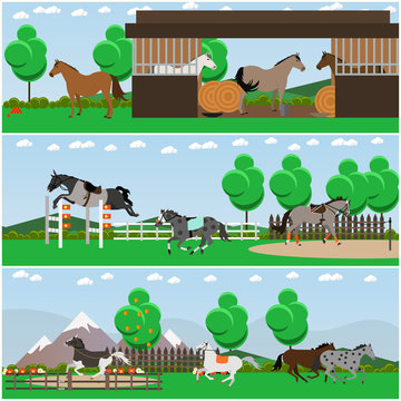 Vector set of horse riding interior flat posters, banners