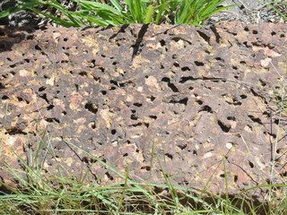 Decorative rock garden