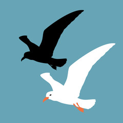 seagull vector illustration style Flat set black silhouette