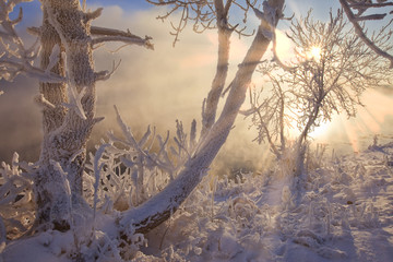 sunny winter day on the river Kama