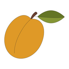 Cartoon outlined fruits.