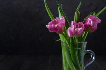 Fresh pink tulip flowers bouquet in a glass jar on dark background