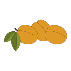 Cartoon outlined fruit.