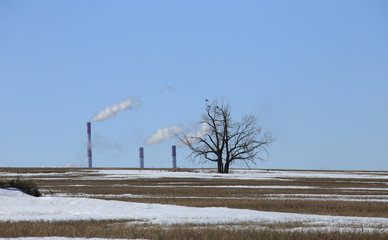 field and the smoke from the chimneys on the horizon