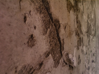 Mottled