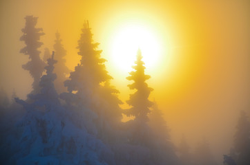 The golden sunset on top a mountains in winter season.