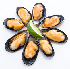 Mussels on a white background.