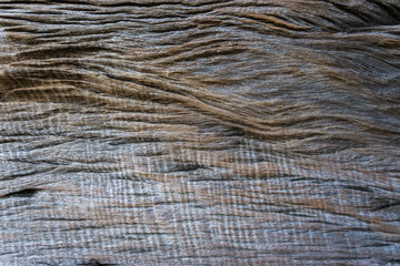 Old wood texture, Texture of bark wood use as natural background, Abstract background.