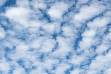 Obraz premium Altocumulus cloudscape on blue blue sky, Beautiful Cirrocumulus or Altocumulus on the middle altitude layer