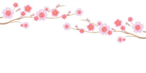 Branches of Sakura isolated on white background. Apple-tree flowers. Cherry blossom. Vector 
