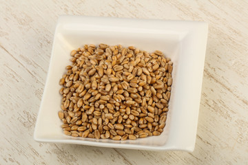 Wheat grains
