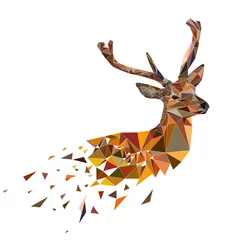 Fototapeten Multicolor deer head with horns. Vector illustration in polygonal style. © Mila Che