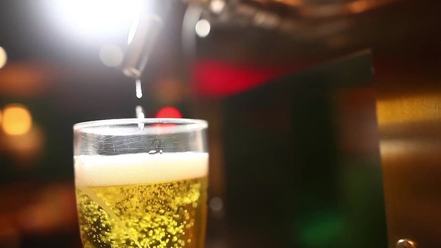 Color footage of a waiter pouring draught beer into a glass, in a pub or restaurant. 