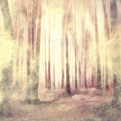 dark woods abstract watercolor painted evil forest, grunge vintage background