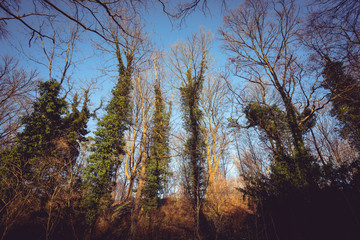 sunset over a snow covered lake in winter