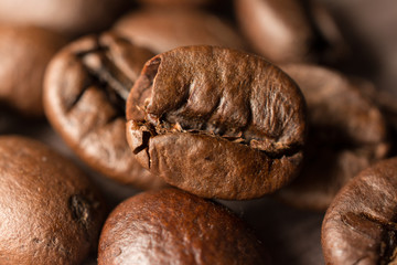 One coffee bean on wooden board, closeup