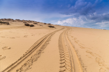 Tire tracks on the sand