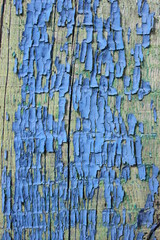 old Board with peeling off blue paint