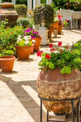 Flowers in pots on the terrace design