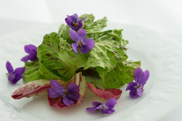 fresh spring salad salad