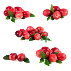 Collection of cranberries on white