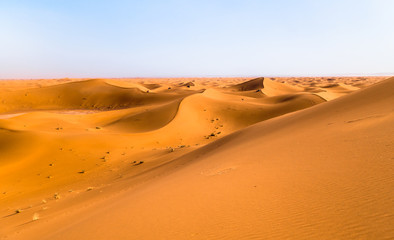 Obraz na płótnie Canvas Sand dunes in the Sahara Desert, Merzouga, Morocco