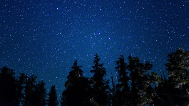 Bristlecone Pine Milky Way Galaxy 07 Time Lapse Stars