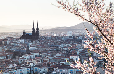 Cathédrale de Clermont au printemps