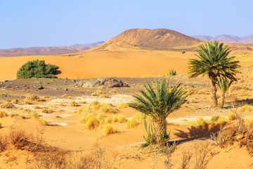 Fototapeta na wymiar Beautiful Moroccan Mountain landscape in desert with oasis