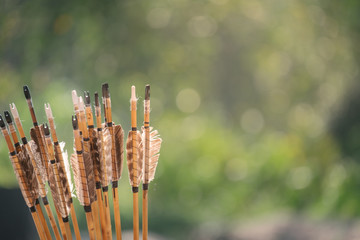 End of arrows with blurred bokeh from tree background