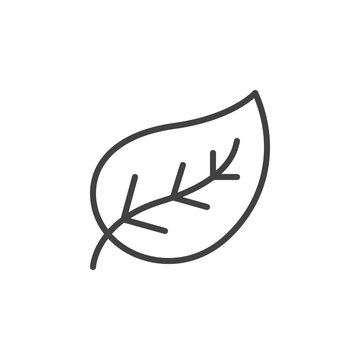 Leaf line icon, outline vector sign, linear style pictogram isolated on white. Eco symbol, logo illustration. Editable stroke. Pixel perfect