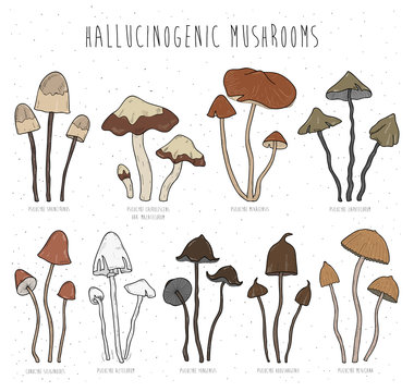 Set hallucinogenic mushrooms color.