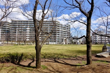 多摩の公園