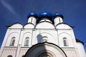 Obraz premium The Cathedral of theVirgin's Nativity