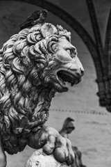 Sculpture of The Medici lion in Loggia dei Lanzi in Florence, Italy
