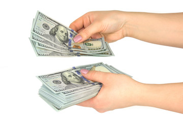 Female hands consider dollars on a white background