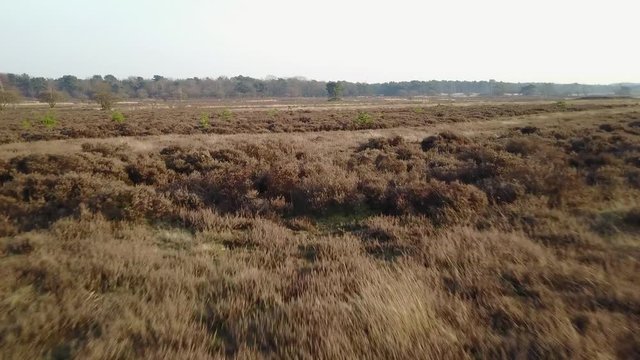 Quickly take off with a drone on the heath - Aerial in 4K