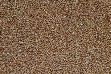 Buckwheat grain background or food background. Organic buckwheat. Top view.