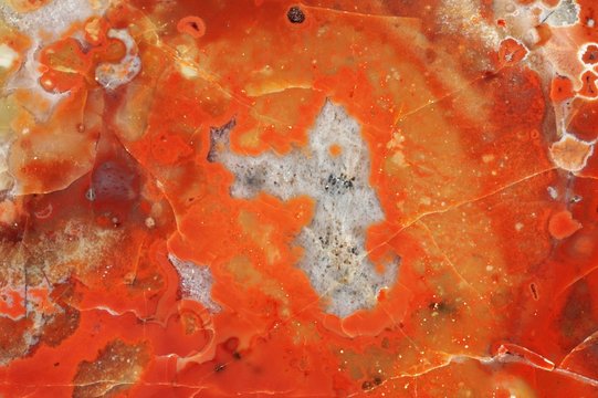 Mineral: Karneol-Achat (SiO2)  aus dem Karneolhorizont im Buntsandstein, Elme bei Bayersbronn, Baden-W&uuml;rttemberg, Deutschland
