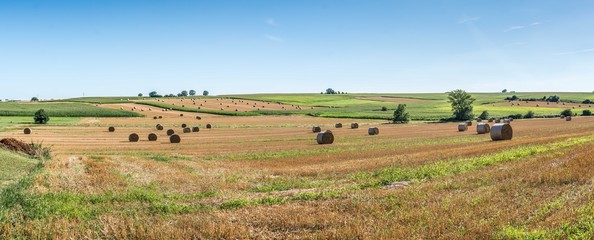 Obraz premium agriculture