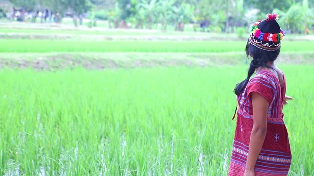 Asian woman in traditional costume for Karen show green rice field. Ethnic girl standing in a paddy field in the countryside. Harvests in Southeast Asia.