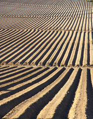 Agriculture, sillons dans un terrain 