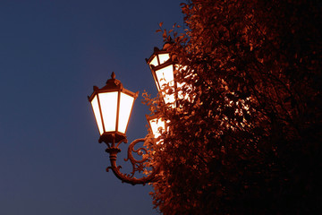Lamp