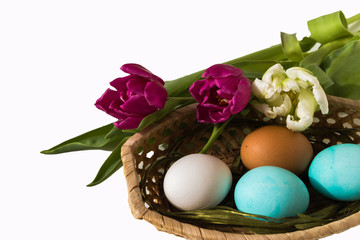Eggs in basket and tulips isolated on white background