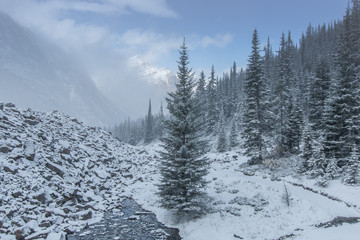 Mt. Edith Cavell Rocky Mountains